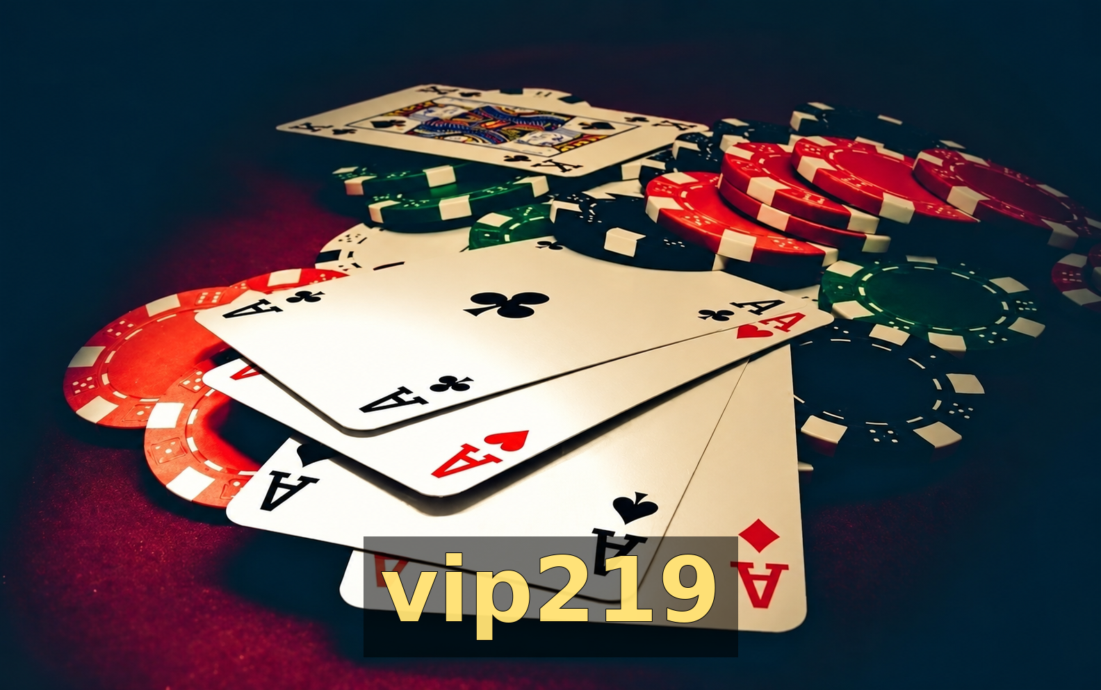 Bônus e promoções disponíveis no vip219